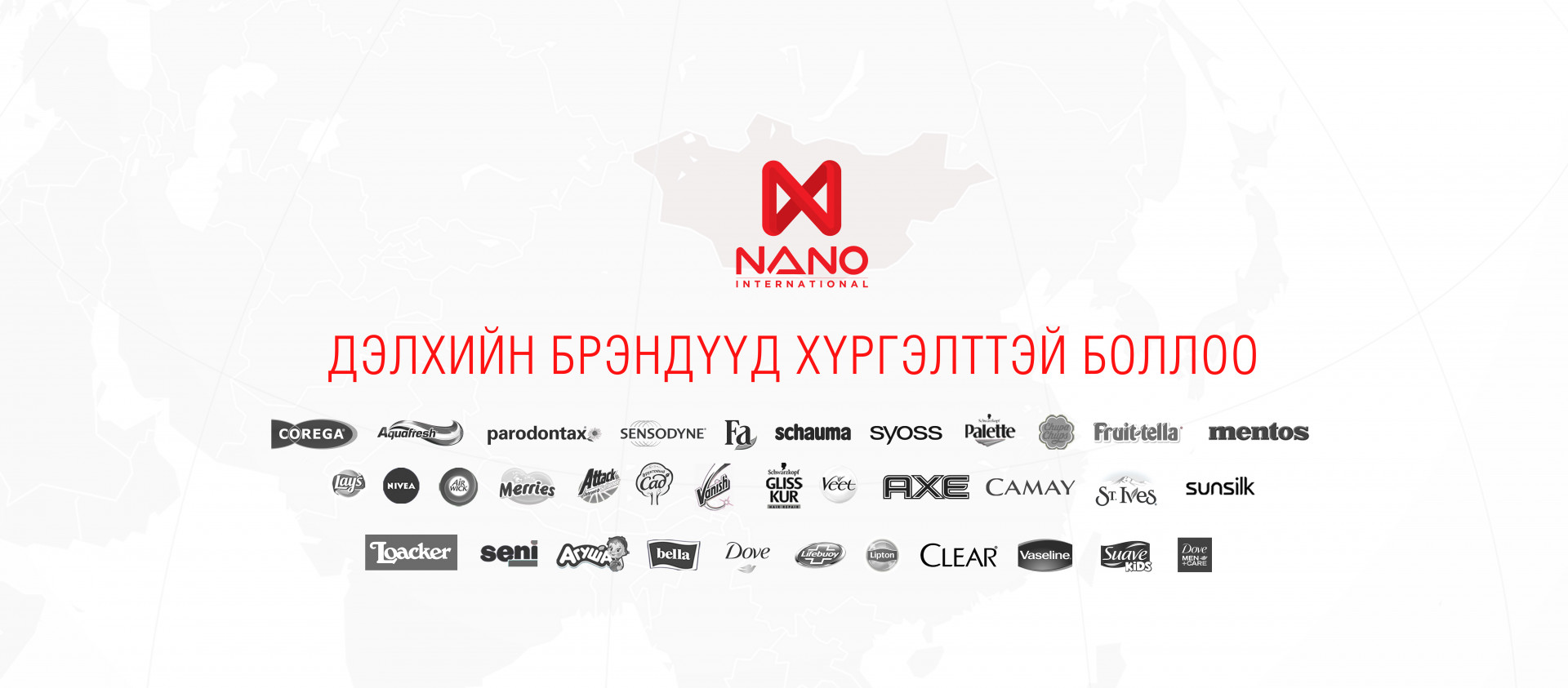 Nano International