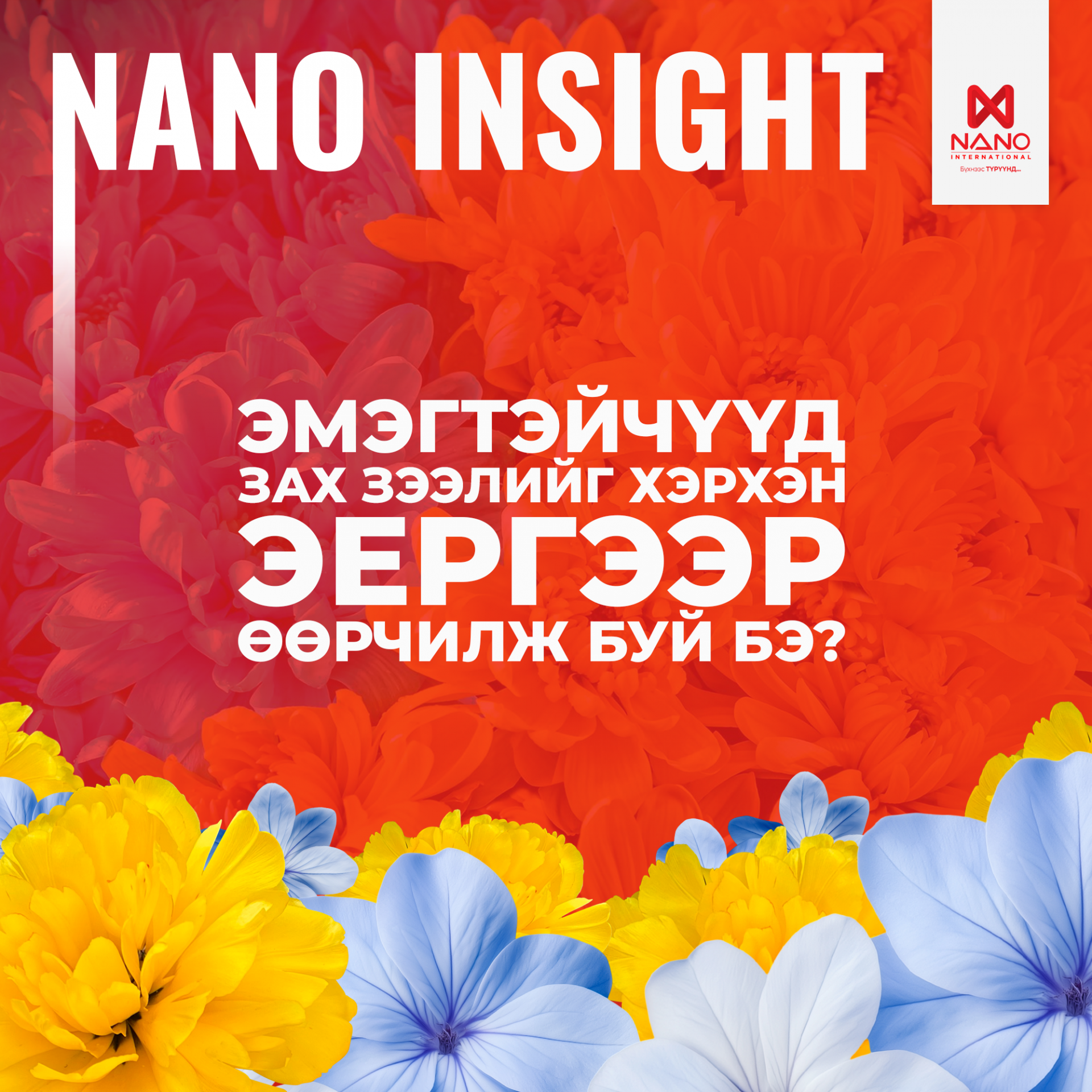 NANO INSIGHT - ЭМЭГТЭЙЧҮҮД ЗАХ ЗЭЭЛИЙГ ХЭРХЭН ЭЕРГЭЭР ӨӨРЧИЛЖ Б...