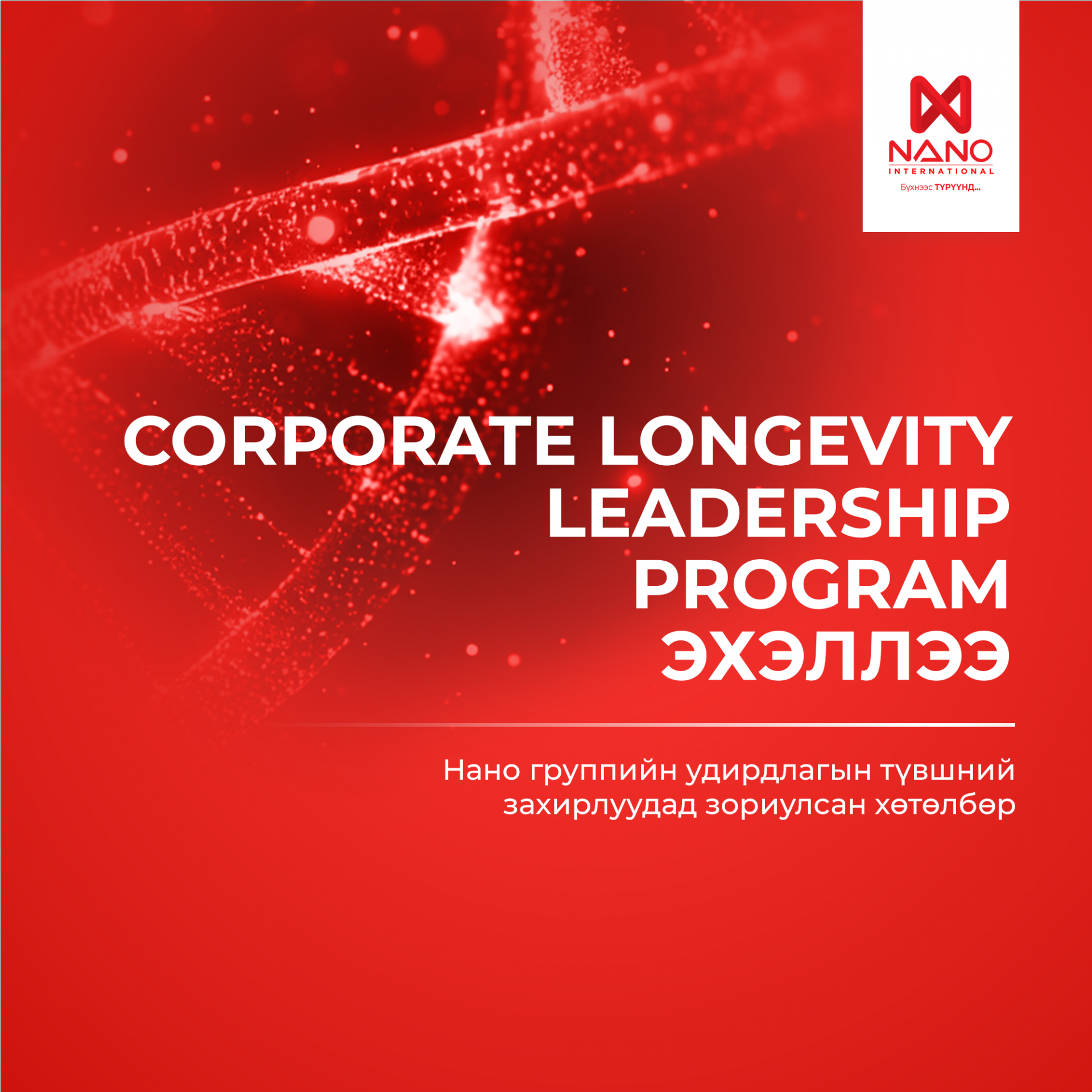 NANO INTERNATIONAL – CORPORATE LONGEVITY LEADERSHIP PROGRAM ЭХЭЛЛЭЭ